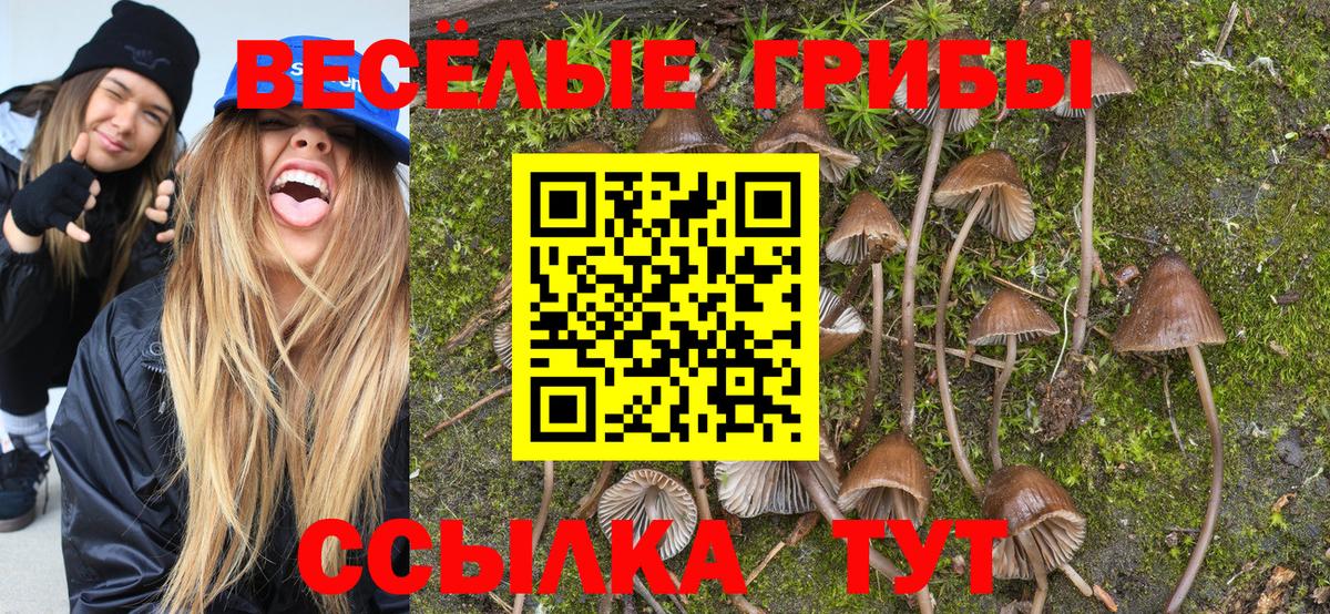 МЕТ  ЭКСТАЗИ  Мефедрон   ГАШИШ  Юрга  Вход с VPN  Марихуана 