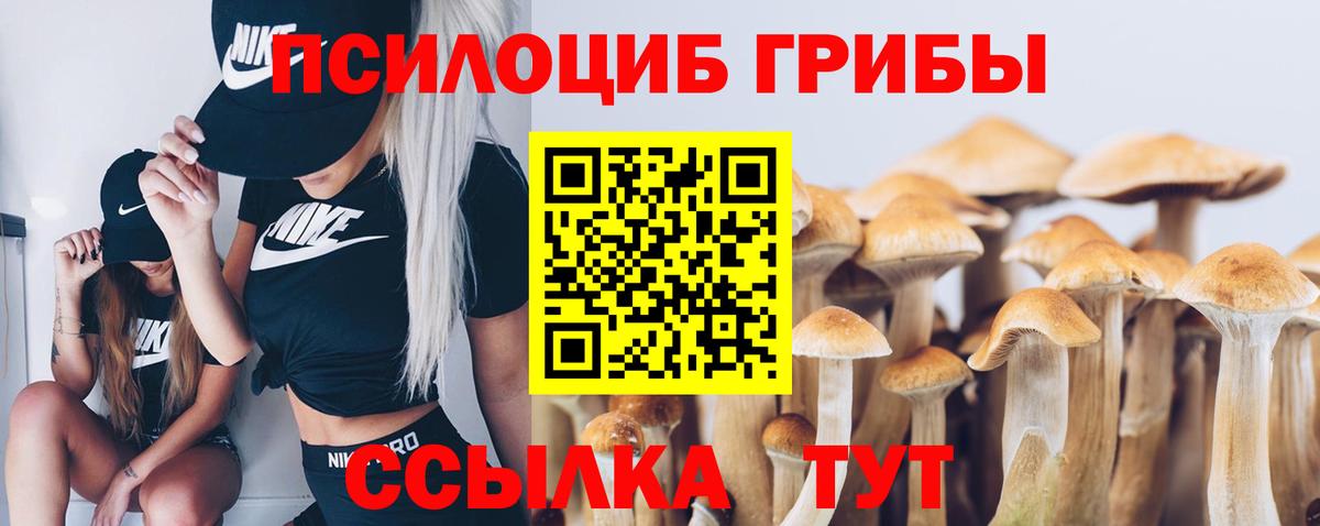 Юрга  Галлюциногенные грибы MAGIC MUSHROOMS  Вход с VPN 